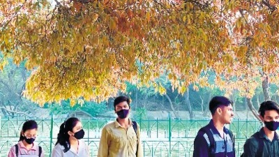 The ‘pilkhans’ are on full display in south Delhi’s Deer Park.