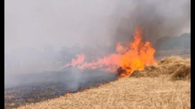 Crops gutted in a blaze in Uttaraon area of Prayagraj. (ht) Crops gutted in a blaze in Uttaraon area of Prayagraj. (ht)