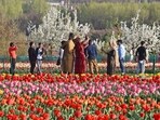 The Department of Tourism in Jammu and Kashmir is holding a 7-day traditional and cultural food festival in Srinagar at the Tulip Garden to attract tourists.(ANI)
