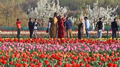 The Department of Tourism in Jammu and Kashmir is holding a 7-day traditional and cultural food festival in Srinagar at the Tulip Garden to attract tourists. (ANI) The Department of Tourism in Jammu and Kashmir is holding a 7-day traditional and cultural food festival in Srinagar at the Tulip Garden to attract tourists. (ANI)