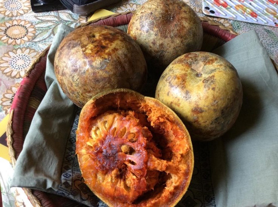 Wood apple (Pinterest) Wood apple (Pinterest)