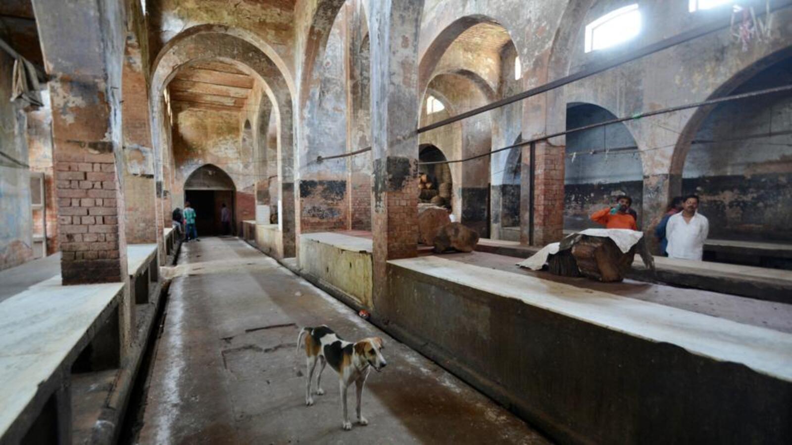 Karnataka: Circular sent on animal stunning amid halal row | Bengaluru - Hindustan Times Karnataka: Circular sent on animal stunning amid halal row | Bengaluru - Hindustan Times
