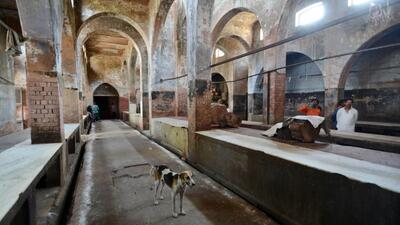 In a circular, the Department of Animal Husbandry and Veterinary Services has asked the Bruhat Bengaluru Mahanagara Palike (BBMP) to ensure the facilities to stun the animals are in place before giving licences to meat shops. (HT File) In a circular, the Department of Animal Husbandry and Veterinary Services has asked the Bruhat Bengaluru Mahanagara Palike (BBMP) to ensure the facilities to stun the animals are in place before giving licences to meat shops. (HT File)