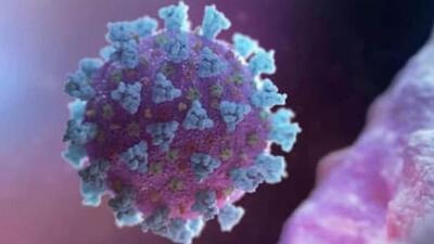 Ludhiana has detected two new cases of Covid in the last 24 hours. (HT File/Representational image)