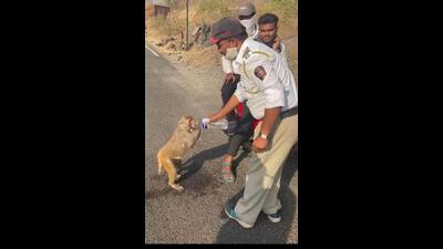Constable Sanjay Ghude attached to Malshej traffic department helping a monkey quench its thirst. Traffic cops stationed at Malshej Ghat help animals from the nearby forest by providing them water. (HT PHOTO) Constable Sanjay Ghude attached to Malshej traffic department helping a monkey quench its thirst. Traffic cops stationed at Malshej Ghat help animals from the nearby forest by providing them water. (HT PHOTO)