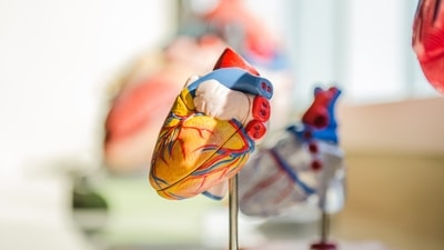 Heart complications after ischemic stroke increase risk of cardiovascular events (Unsplash) Heart complications after ischemic stroke increase risk of cardiovascular events (Unsplash)