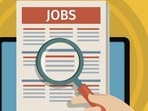 ESIC recruitment 2022: Apply for Specialist Grade- II vacancies, details here ESIC recruitment 2022: Apply for Specialist Grade- II vacancies, details here