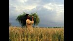 In 2008, the central government had launched the National Land Records Modernisation Programme. This programme was revamped in 2014 under the Digital India initiative as the Digital Land Records Modernisation Programme (DI-LRMP). The programme and its revamped version aimed to achieve an accurate and comprehensive land records system in India. (SanivKumar/HTPhoto) In 2008, the central government had launched the National Land Records Modernisation Programme. This programme was revamped in 2014 under the Digital India initiative as the Digital Land Records Modernisation Programme (DI-LRMP). The programme and its revamped version aimed to achieve an accurate and comprehensive land records system in India. (SanivKumar/HTPhoto)
