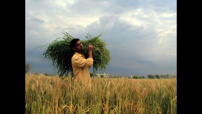 In 2008, the central government had launched the National Land Records Modernisation Programme. This programme was revamped in 2014 under the Digital India initiative as the Digital Land Records Modernisation Programme (DI-LRMP). The programme and its revamped version aimed to achieve an accurate and comprehensive land records system in India. (SanivKumar/HTPhoto) In 2008, the central government had launched the National Land Records Modernisation Programme. This programme was revamped in 2014 under the Digital India initiative as the Digital Land Records Modernisation Programme (DI-LRMP). The programme and its revamped version aimed to achieve an accurate and comprehensive land records system in India. (SanivKumar/HTPhoto)