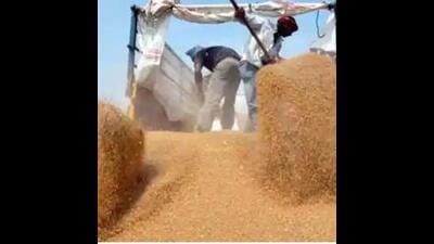 Slow start to wheat procurement in Punjab Slow start to wheat procurement in Punjab