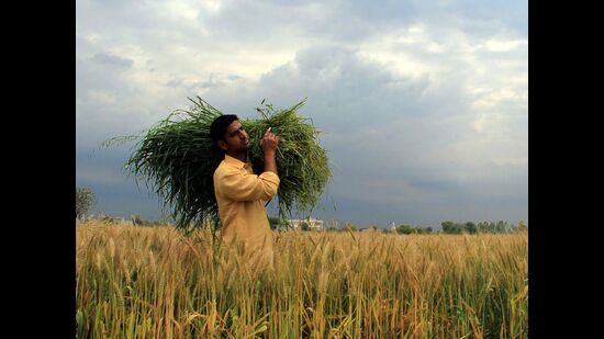 In 2008, the central government had launched the National Land Records Modernisation Programme. This programme was revamped in 2014 under the Digital India initiative as the Digital Land Records Modernisation Programme (DI-LRMP). The programme and its revamped version aimed to achieve an accurate and comprehensive land records system in India. (SanivKumar/HTPhoto)