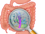 Irritable bowel syndrome: Health experts share causes, symptoms, tips to cure&nbsp;