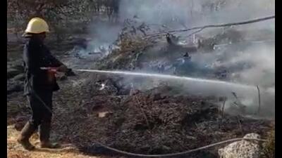 A large number of trees, many of which were full grown, were gutted in a forest fire on Sunday evening at Taljai hills. (HT PHOTO) A large number of trees, many of which were full grown, were gutted in a forest fire on Sunday evening at Taljai hills. (HT PHOTO)