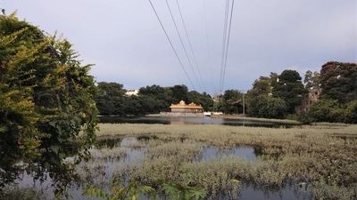 Devarekere lake was restored after years of work put in by the Devarakere Samrakshana Vedhike Walkers' Association and BBMP (Photo credits: Shayaree Chanda) Devarekere lake was restored after years of work put in by the Devarakere Samrakshana Vedhike Walkers' Association and BBMP (Photo credits: Shayaree Chanda)