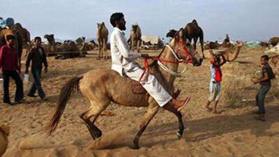 Abhijit Tiwari, a rural revenue franchisee, tasked with collection of energy bills from consumers, rode a horse in rural Sheohar to collect payment against energy bills as petrol prices increased. (Image used for representation). (HT FILE PHOTO.) Abhijit Tiwari, a rural revenue franchisee, tasked with collection of energy bills from consumers, rode a horse in rural Sheohar to collect payment against energy bills as petrol prices increased. (Image used for representation). (HT FILE PHOTO.)