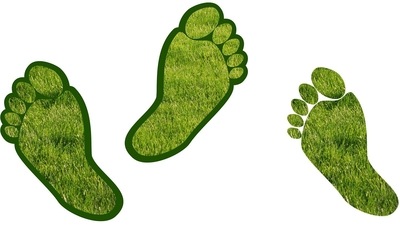 World Health Day 2022: Healthy tweaks in lifestyle for reducing carbon footprint (Pixabay) World Health Day 2022: Healthy tweaks in lifestyle for reducing carbon footprint (Pixabay)