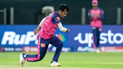 Yuzvendra Chahal celebrates after picking a wicket (IPL) Yuzvendra Chahal celebrates after picking a wicket (IPL)