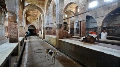 In a circular, the Department of Animal Husbandry and Veterinary Services has asked the Bruhat Bengaluru Mahanagara Palike (BBMP) to ensure the facilities to stun the animals are in place before giving licences to meat shops. (HT File) In a circular, the Department of Animal Husbandry and Veterinary Services has asked the Bruhat Bengaluru Mahanagara Palike (BBMP) to ensure the facilities to stun the animals are in place before giving licences to meat shops. (HT File)