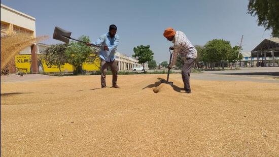 A Federation of Punjab Arhtiya Association delegation met Punjab food and supplies minister Lal Chand Kataruchak to discuss smooth wheat procurement season. (HT File)