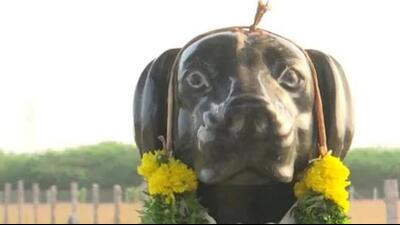 Muthu has erected the dog’s statue in a family-owned farm, 18km away from their home in Manamadurai. (ANI)