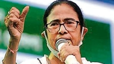 West Bengal chief minister Mamata Banerjee (PTI)