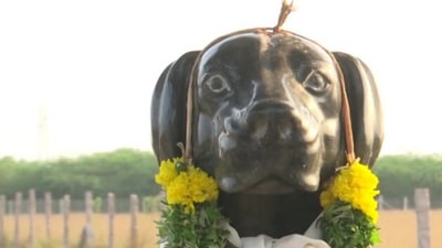 Statue of Muthu's late dog Tom (ANI)