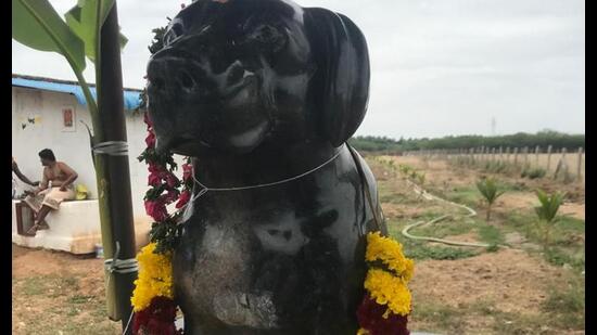 For Muthu, a former government employee, Tom Kumar came into his life when he retired a decade ago which led to a deep attachment between the man and the dog. (HT Photo)