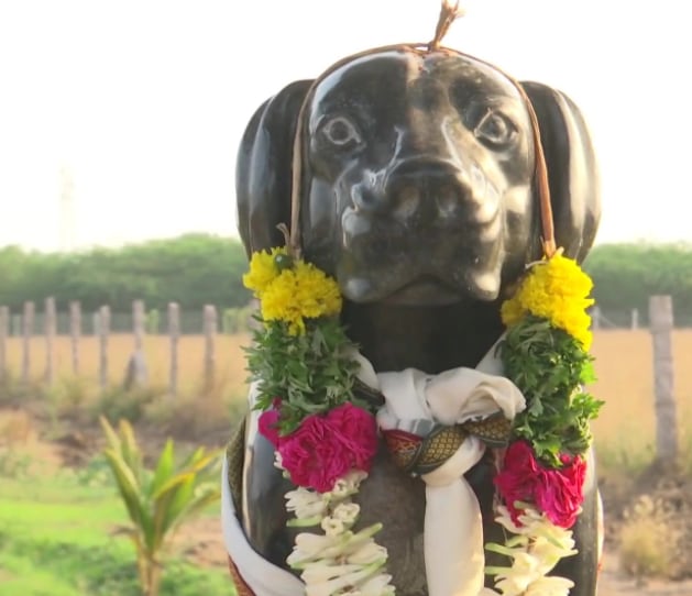 Statue of Muthu's late dog (ANI)