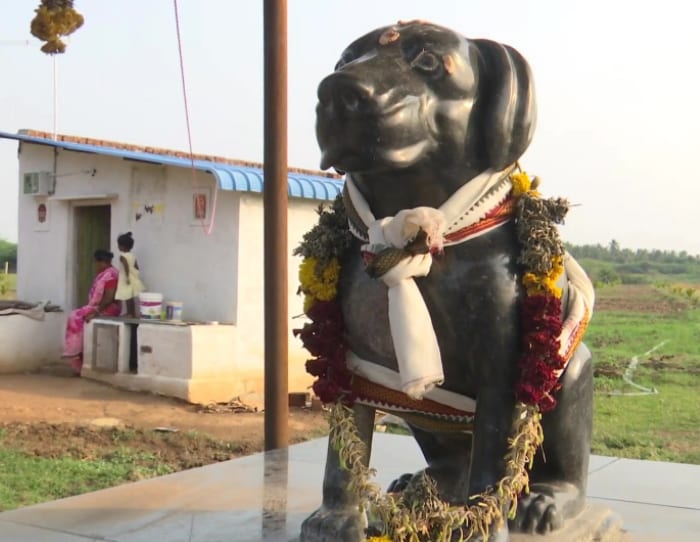 Statue of Muthu's late dog
