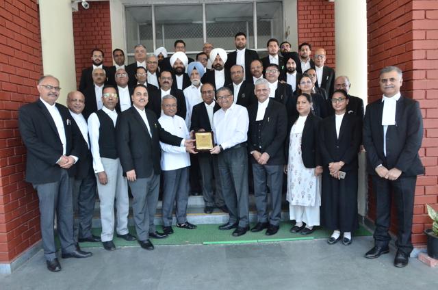 Bar members of the Central Administrative Tribunal (CAT), Chandigarh, during the felicitation function on the resumption of physical hearing of cases on Tuesday. Bar members of the Central Administrative Tribunal (CAT), Chandigarh, during the felicitation function on the resumption of physical hearing of cases on Tuesday.