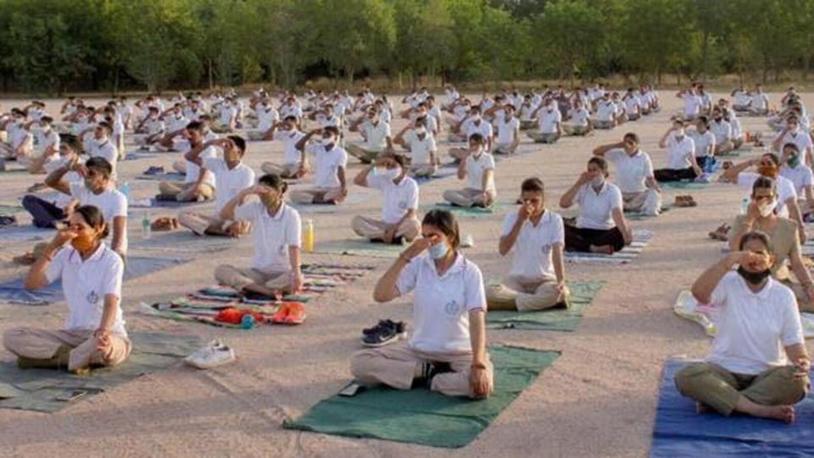 Yoga day 2024. Шоу йогов. Йога шоу. Гранд йогу. Протоколы йога.