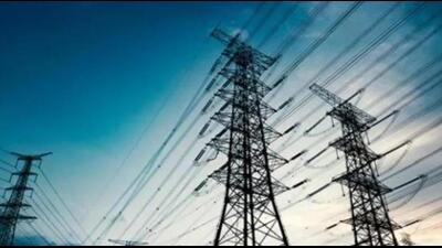 There are 168 feeders in the border zone which have more than 50 per cent losses. (HT Photo) There are 168 feeders in the border zone which have more than 50 per cent losses. (HT Photo)
