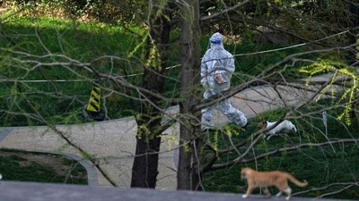 The latest results are the 19th round of the React-1 study and will be the last as the program comes to an end at the same time the UK cuts back on free coronavirus tests. (REUTERS)