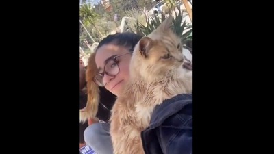 The woman with the cat she finally adopted after spending a day at the cat shelter as shown in this Instagram video. (tiktok/@katie.anastasiou) The woman with the cat she finally adopted after spending a day at the cat shelter as shown in this Instagram video. (tiktok/@katie.anastasiou)