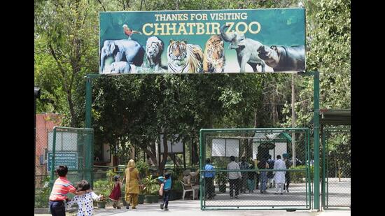 Chhatbir Zoo said that action will be taken against those deliberately tarnishing its name without establishing facts. (HT file)