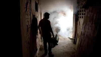 A municipal worker fumigates a residential area to check the spread of mosquito-borne diseases in New Delhi. (Representative image/AP) A municipal worker fumigates a residential area to check the spread of mosquito-borne diseases in New Delhi. (Representative image/AP)