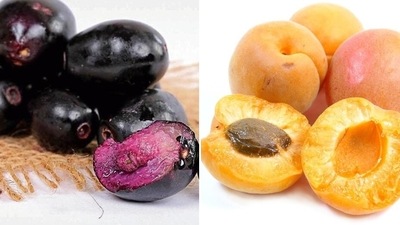 Not all fruits should be avoided by people with diabetes considering they are a good source of fibre, antioxidants, vitamins, minerals, phytochemicals and other essential nutrients. Here are five fruits, suggested by Nutritionist Karishma Sha in her recent Instagram post that are safe to be eaten by people with diabetes if consumed in moderation and on advice of an expert. (iStock, Pixabay) Not all fruits should be avoided by people with diabetes considering they are a good source of fibre, antioxidants, vitamins, minerals, phytochemicals and other essential nutrients. Here are five fruits, suggested by Nutritionist Karishma Sha in her recent Instagram post that are safe to be eaten by people with diabetes if consumed in moderation and on advice of an expert. (iStock, Pixabay)