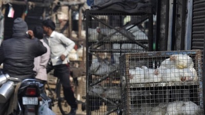 Delhi minorities commission issues show cause notice to mayors over meat ban (Sunil Ghosh/HT Photo) Delhi minorities commission issues show cause notice to mayors over meat ban (Sunil Ghosh/HT Photo)