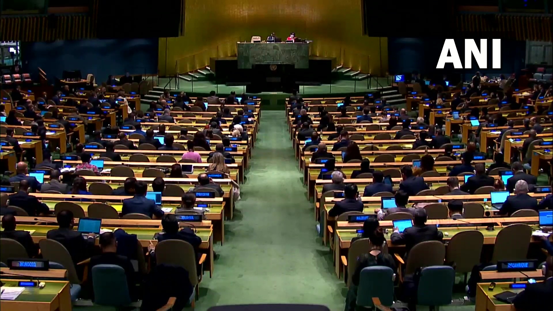 Hearing underway at the United Nations on Thursday.