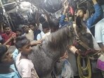 This photo of a huge horse inside a crowded local train has gone viral on social media. (Photo: Twitter)