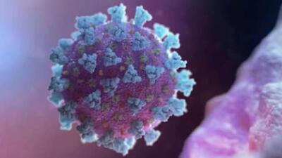 So far,Ludhiana has recorded 1,09,795 Covid cases, of which 1,07,503 patients have recovered and 2,279 have succumbed to the virus. (HT File)