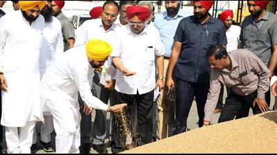 Punjab chief minister Bhagwant Mann reviews the wheat procurement at the grain market, in Khanna, on Friday. (ANI) Punjab chief minister Bhagwant Mann reviews the wheat procurement at the grain market, in Khanna, on Friday. (ANI)