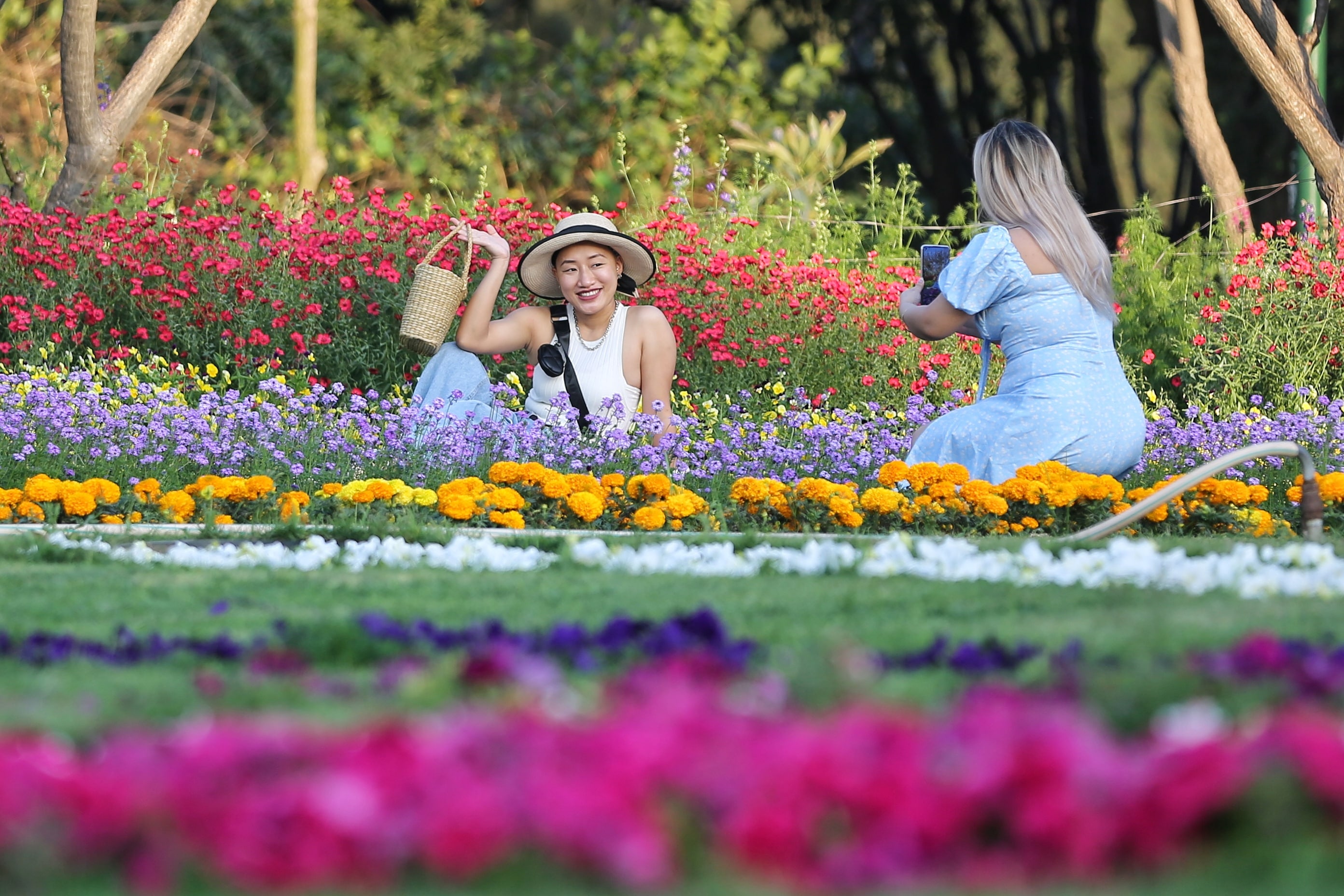 Nestled away from the hustle and bustle of the city, Nehru Park in Chanakyapuri, spread over 85 acres, will rejuvenate your soul with its magnificent blooms. (Photo:Sanchit Khanna/ HT) Nestled away from the hustle and bustle of the city, Nehru Park in Chanakyapuri, spread over 85 acres, will rejuvenate your soul with its magnificent blooms. (Photo:Sanchit Khanna/ HT)