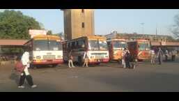 UPSRTC buses in Prayagraj (HT Photo)