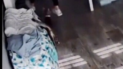 The image, taken from the Reddit video, shows the cat looking at its human (Reddit/@rwalker151)