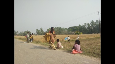 Small children, holding bags in their hands, picking grains from wheat fields is a common sight in Bahraich villages these days during wheat harvest time. (ht photo) Small children, holding bags in their hands, picking grains from wheat fields is a common sight in Bahraich villages these days during wheat harvest time. (ht photo)