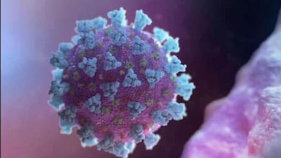 Ludhiana reported only one fresh Covid case in the last 23 hours. (HT File)