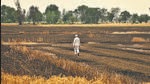 High temperatures have caused scores of unusual farm fires. destroying swathes of wheat crop ready for harvest. (HT file)