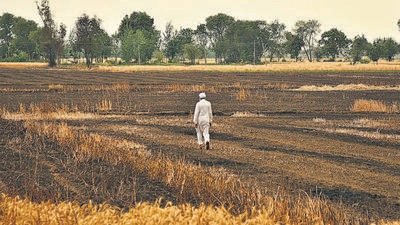 High temperatures have caused scores of unusual farm fires. destroying swathes of wheat crop ready for harvest. (HT file) High temperatures have caused scores of unusual farm fires. destroying swathes of wheat crop ready for harvest. (HT file)
