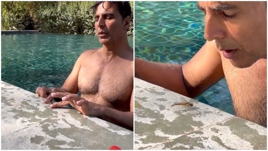 Akshay Kumar saved a dragonfly who jumped in a pool.